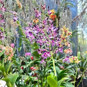 Meet your Posher, Angie